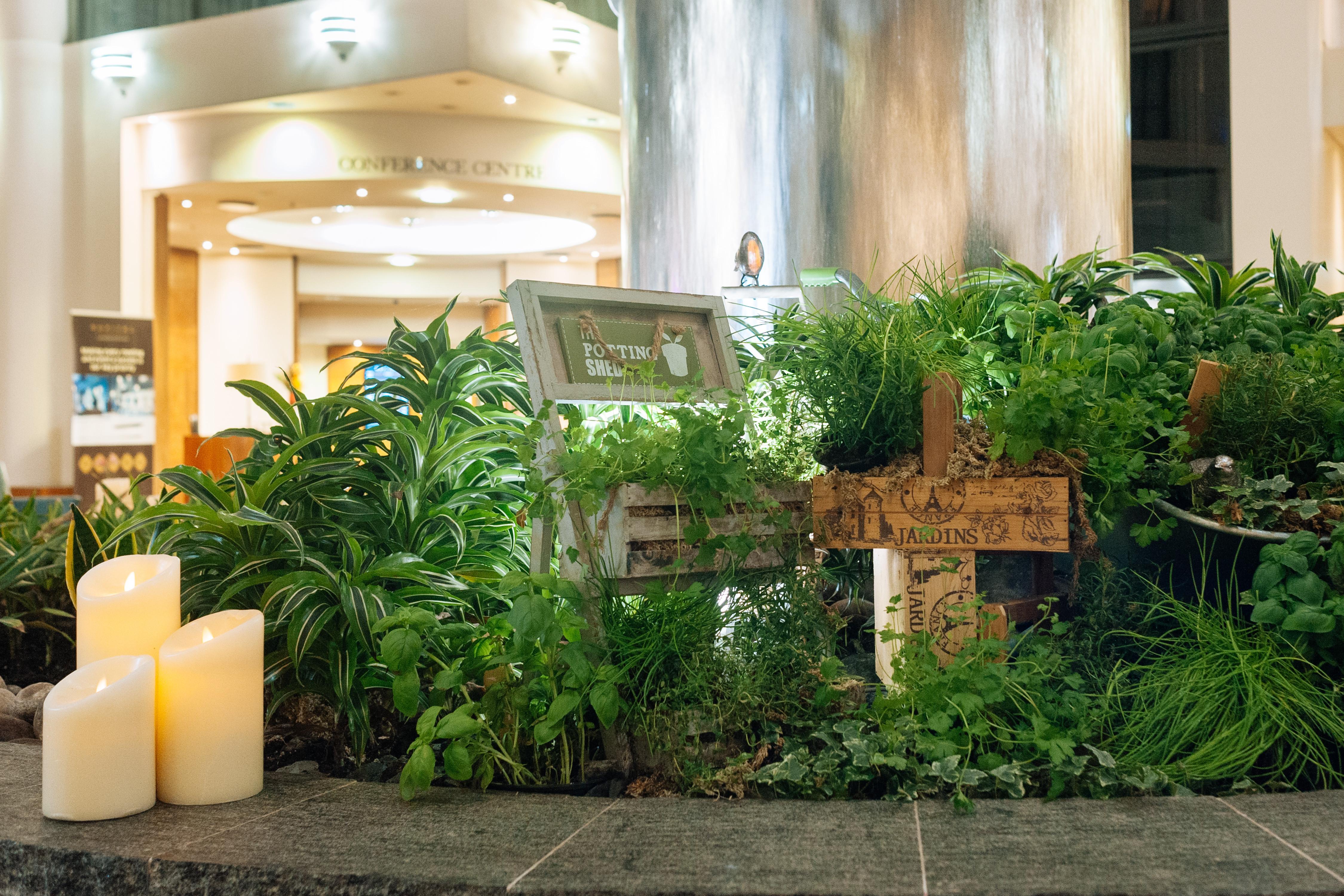 Hotel Sofitel London Gatwick Horley  Esterno foto The garden at the hotel